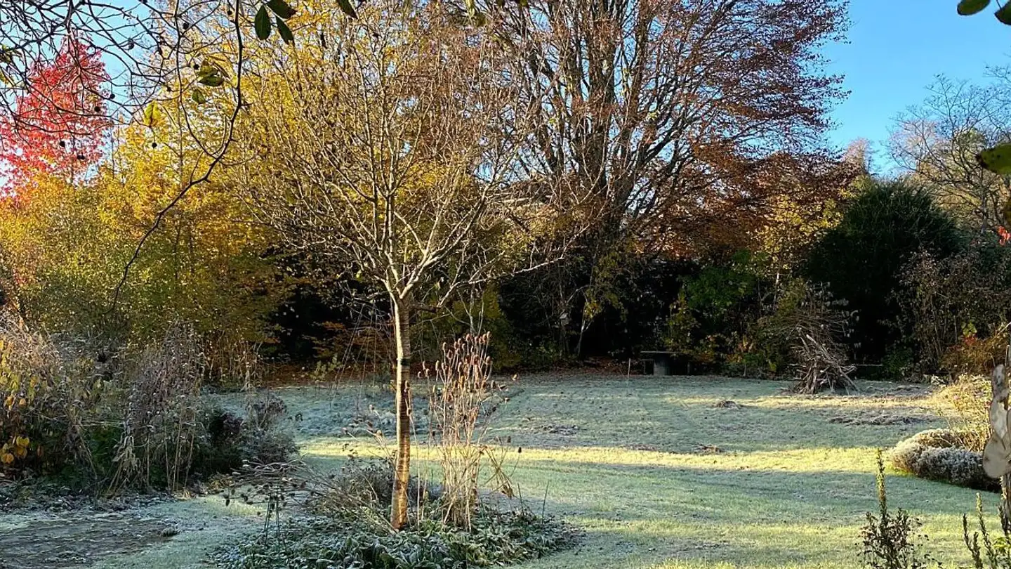 Maison individuelle à louer - Schönbühlweg 9, 3400 Burgdorf - Photo 3