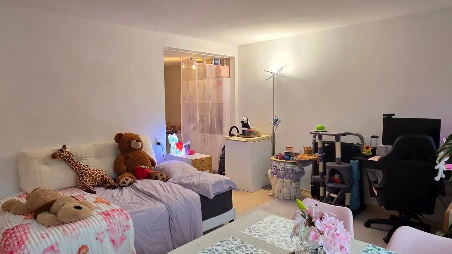 Studio in affitto - Rue Des Planchettes 25, 2900 Porrentruy - Foto 2