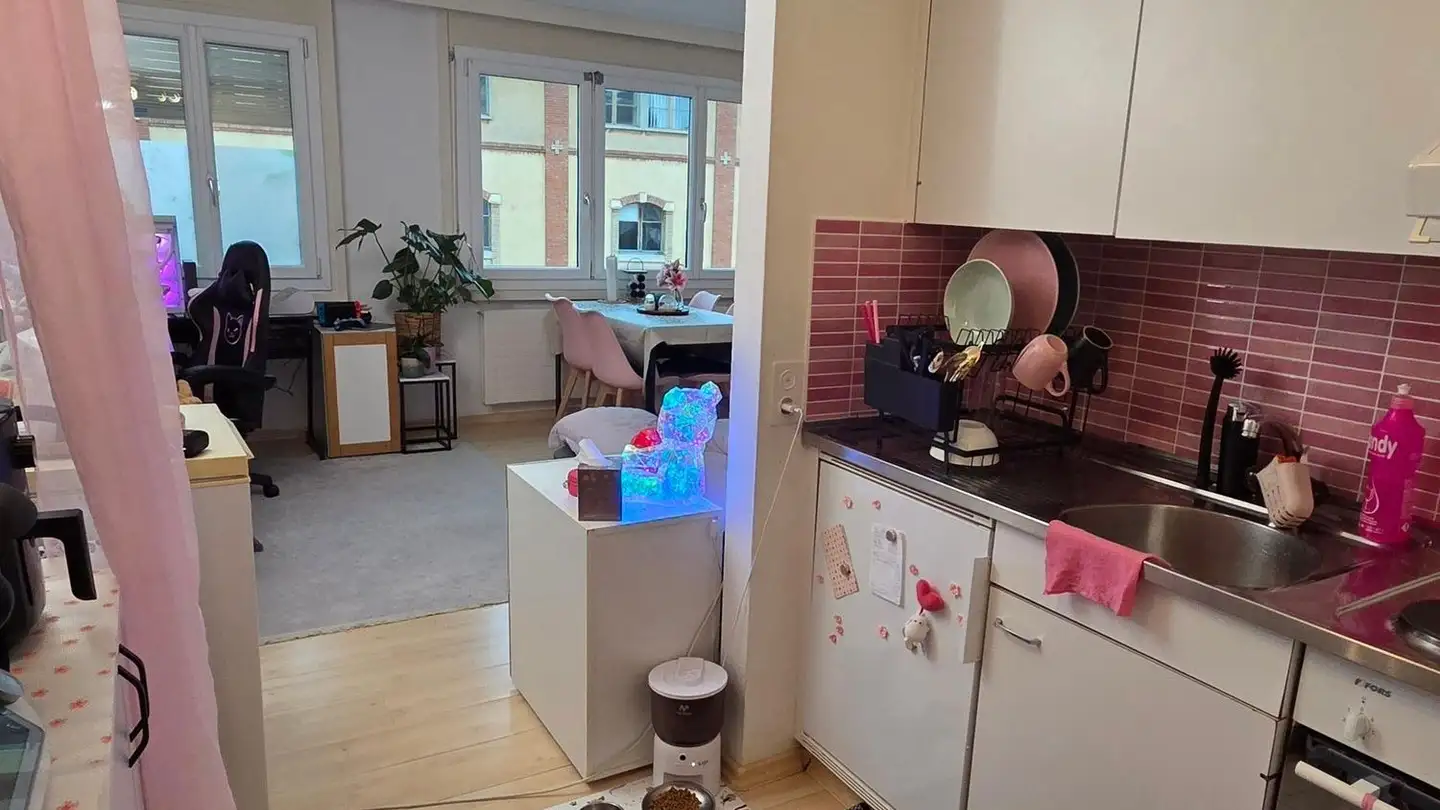 Studio in affitto - Rue Des Planchettes 25, 2900 Porrentruy - Foto 3