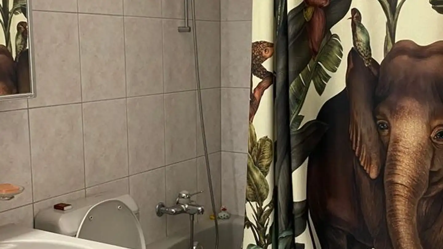 Möblierte Wohnung mieten - Heugatterstrasse 27b, 8600 Dübendorf - Foto 4