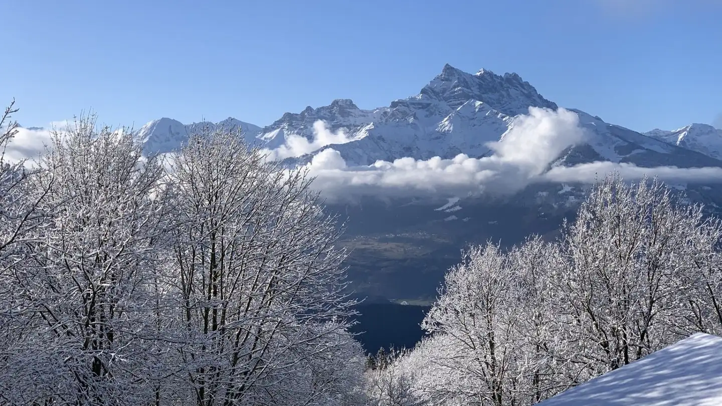 Appartement à vendre - 1884 Villars-sur-Ollon - Photo 2