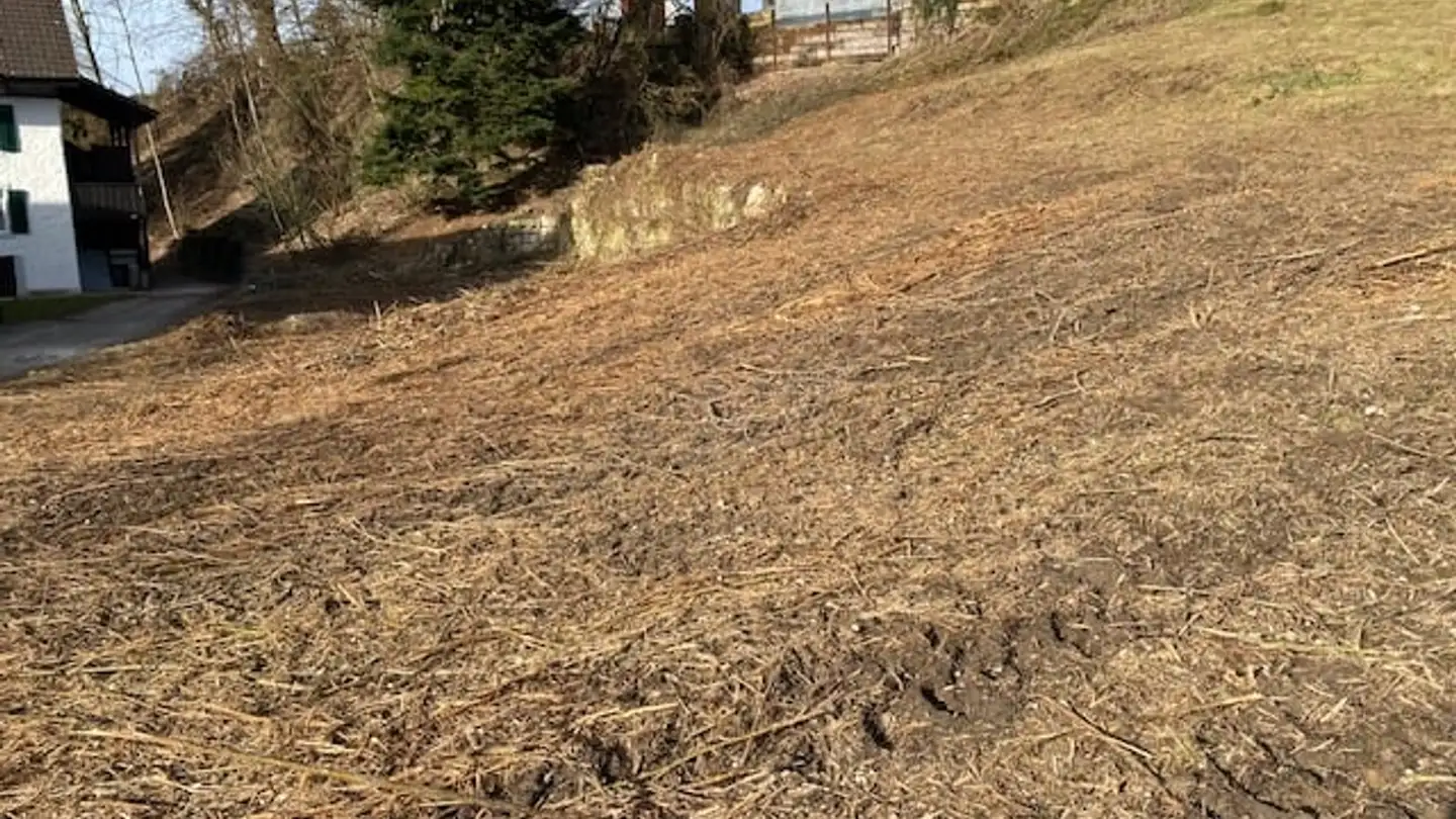 Terreno edificabile in vendita - Alte Mühle, 5014 Gretzenbach - Photo 3