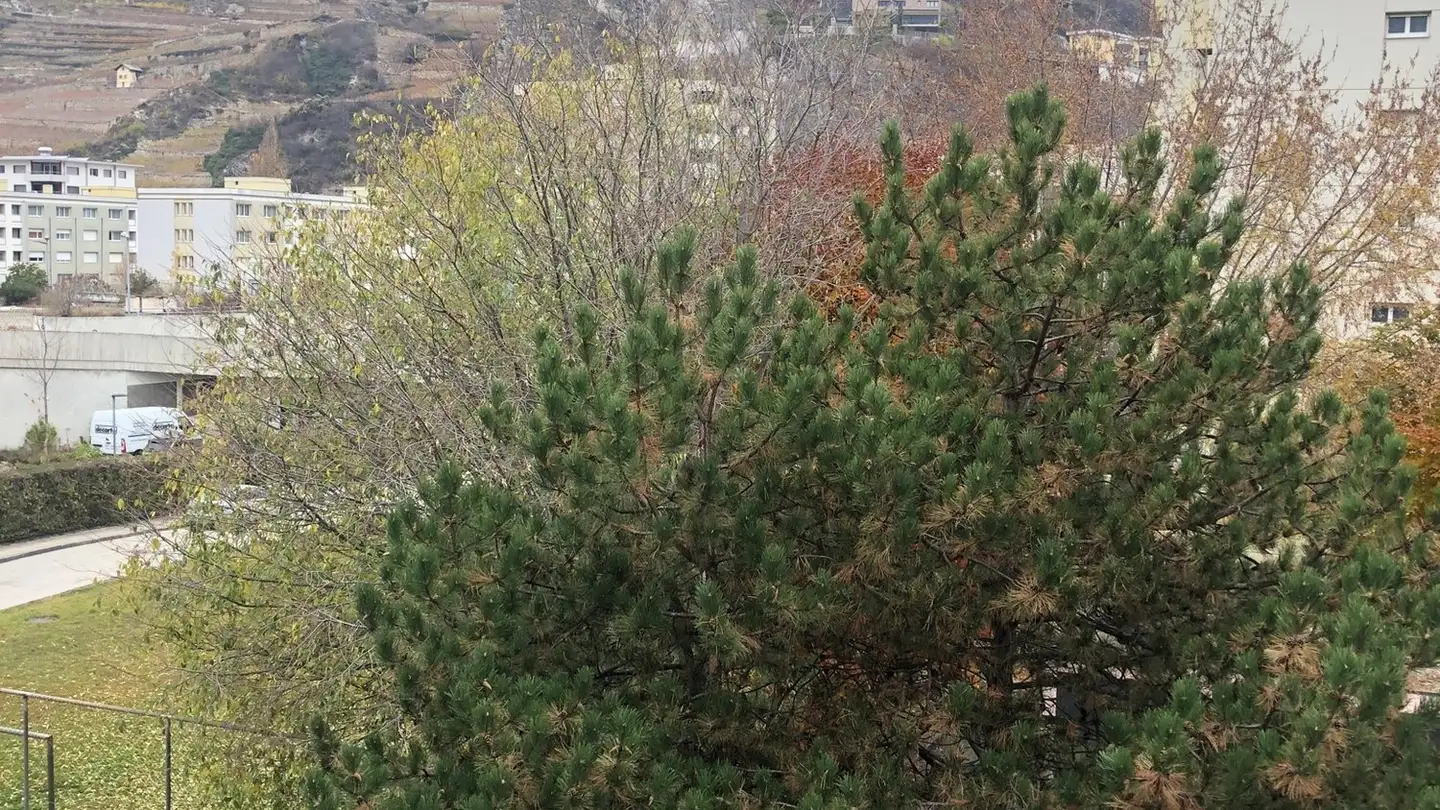 Chambre à louer - Rue de l'Envol 9, 1950 Sion - Photo 4