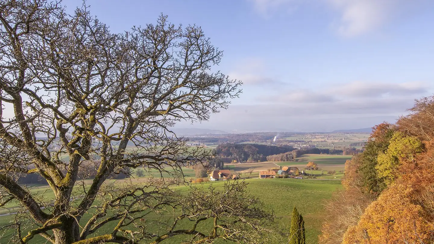 Doppelhaushälfte mieten - Saurenhorn 271, 3054 Schüpfen - Foto 3