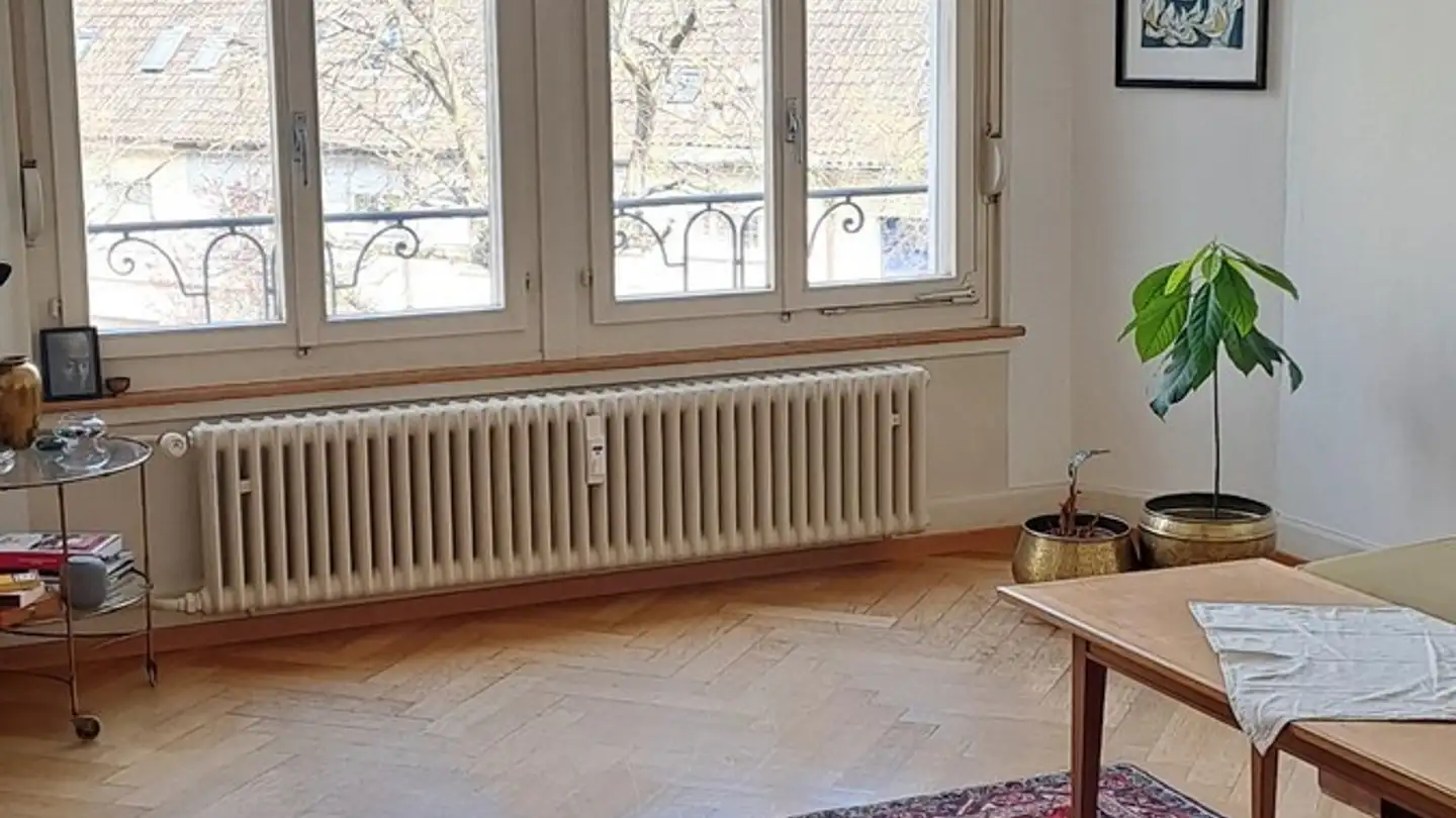 Appartamento in affitto - 4052 Basel