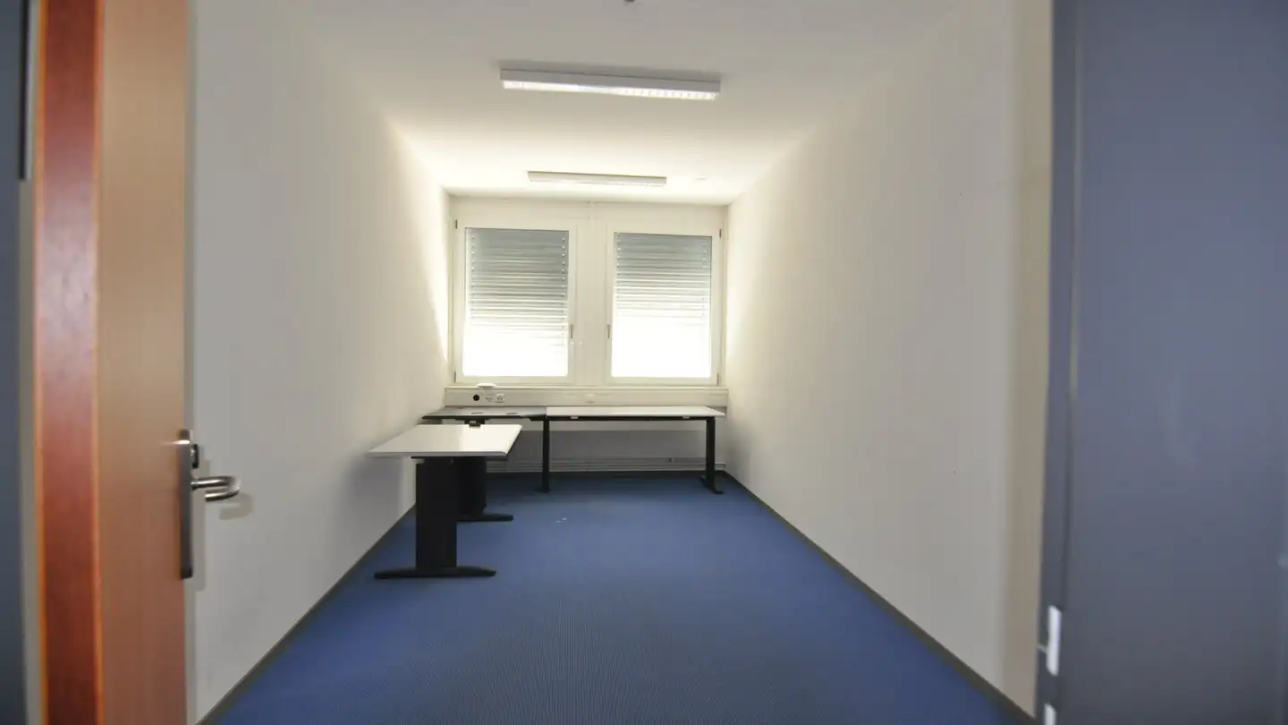 Industrial property for rent - Rheinstrasse 74, 4414 Füllinsdorf - Photo 4