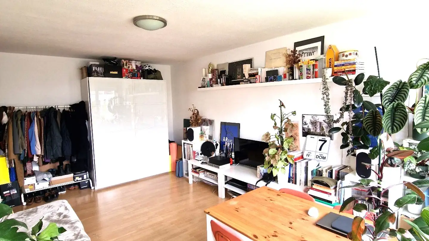 Appartamento in affitto - Schulstrasse 4, 8603 Schwerzenbach - Foto 3