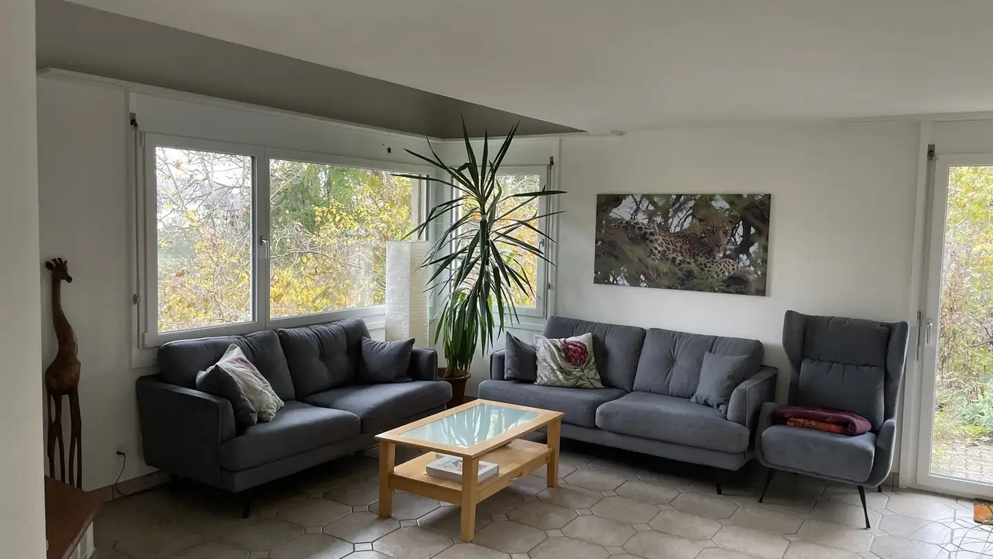 Möblierte Wohnung mieten - 8253 Diessenhofen