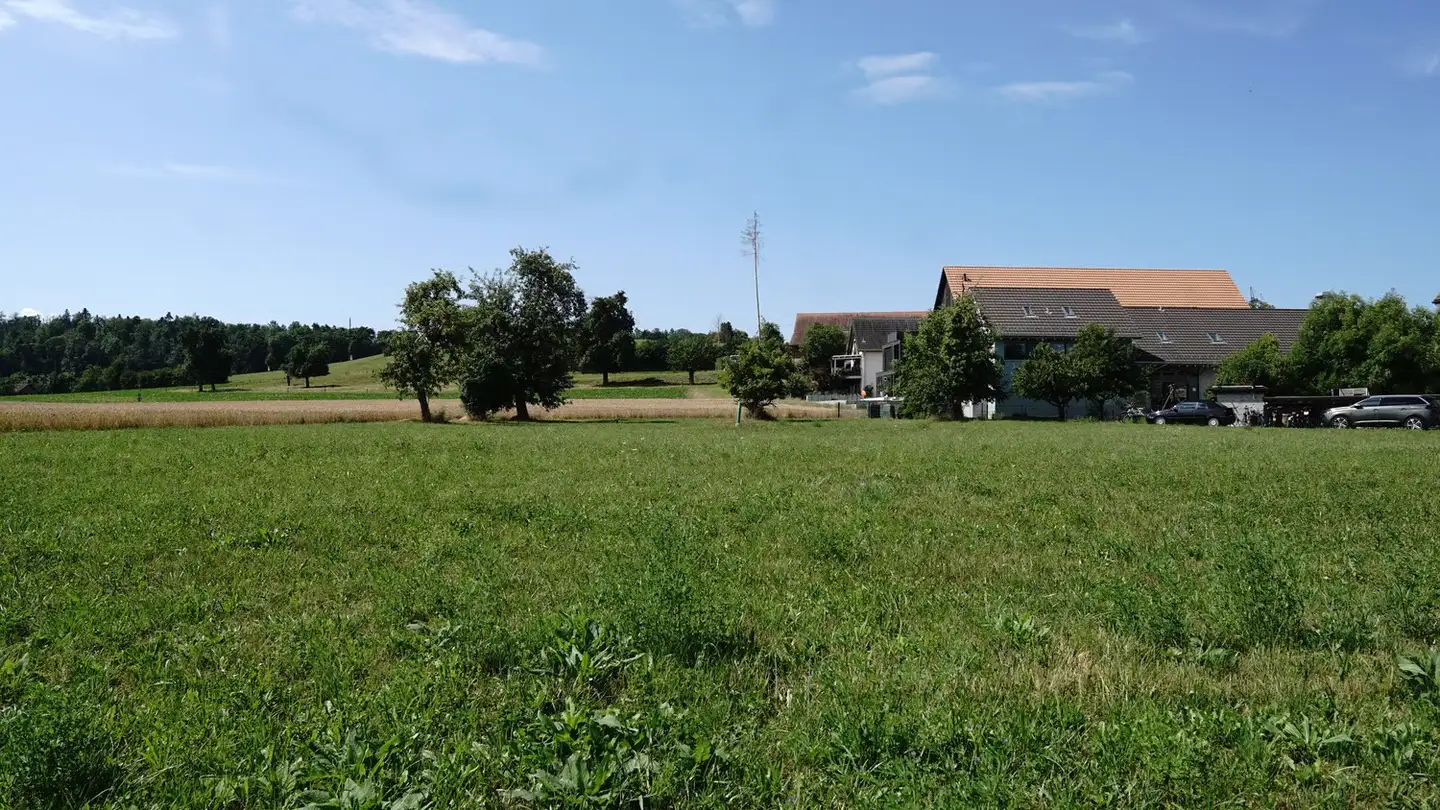 Terrain constructible à vendre - 8468 Waltalingen