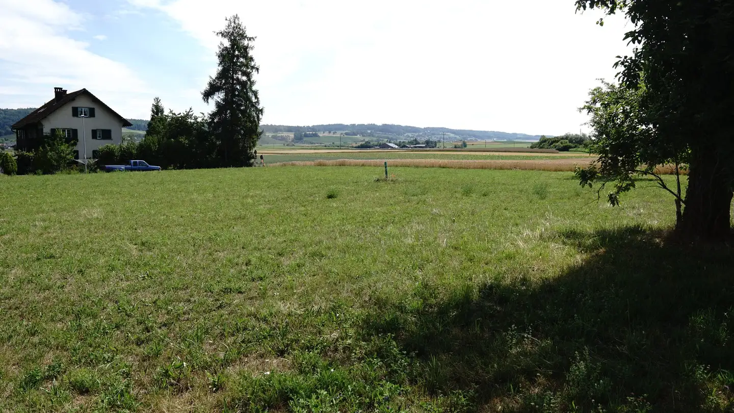 Terrain constructible à vendre - 8468 Waltalingen - Photo 2