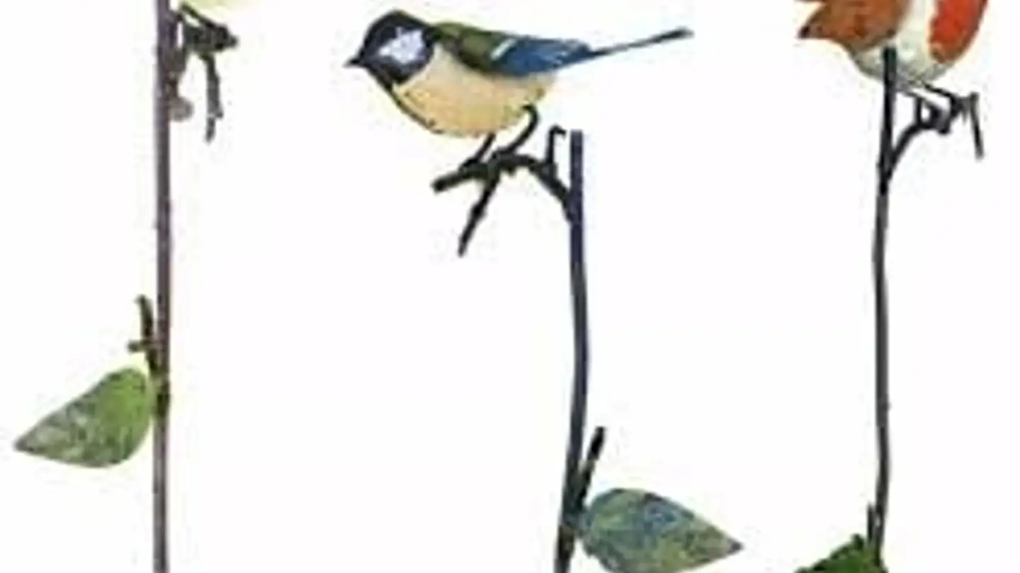 Stanza singola in affitto - 6900 Lugano