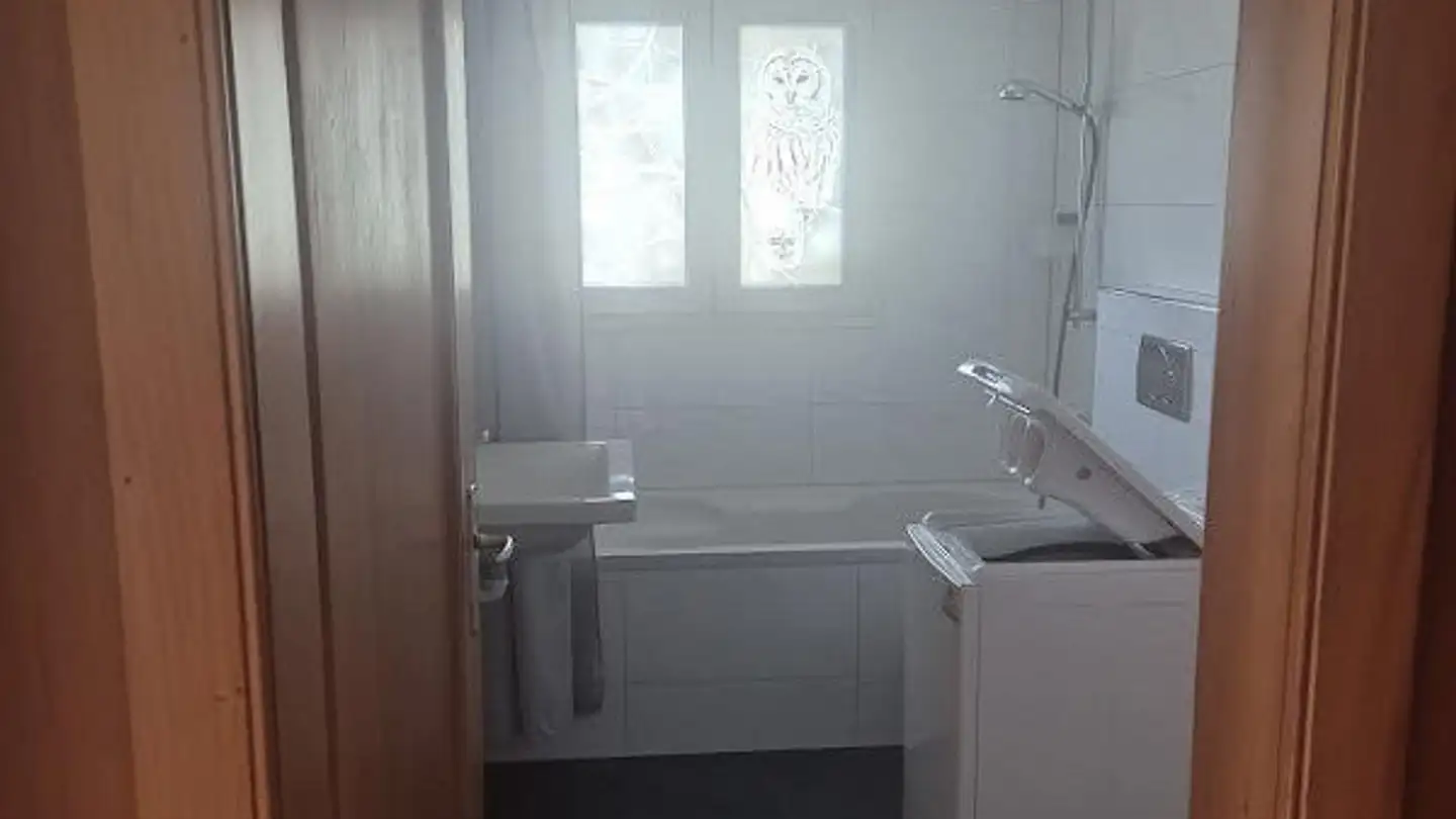 Apartment for rent - Via Da Ruschein 10, 7130 Ilanz - Photo 2