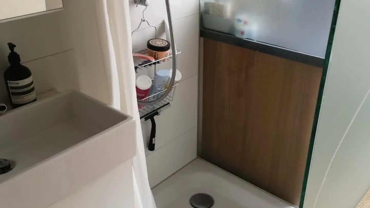 Appartamento in affitto - Albisstrasse 88, 8038 Zürich - Foto 4