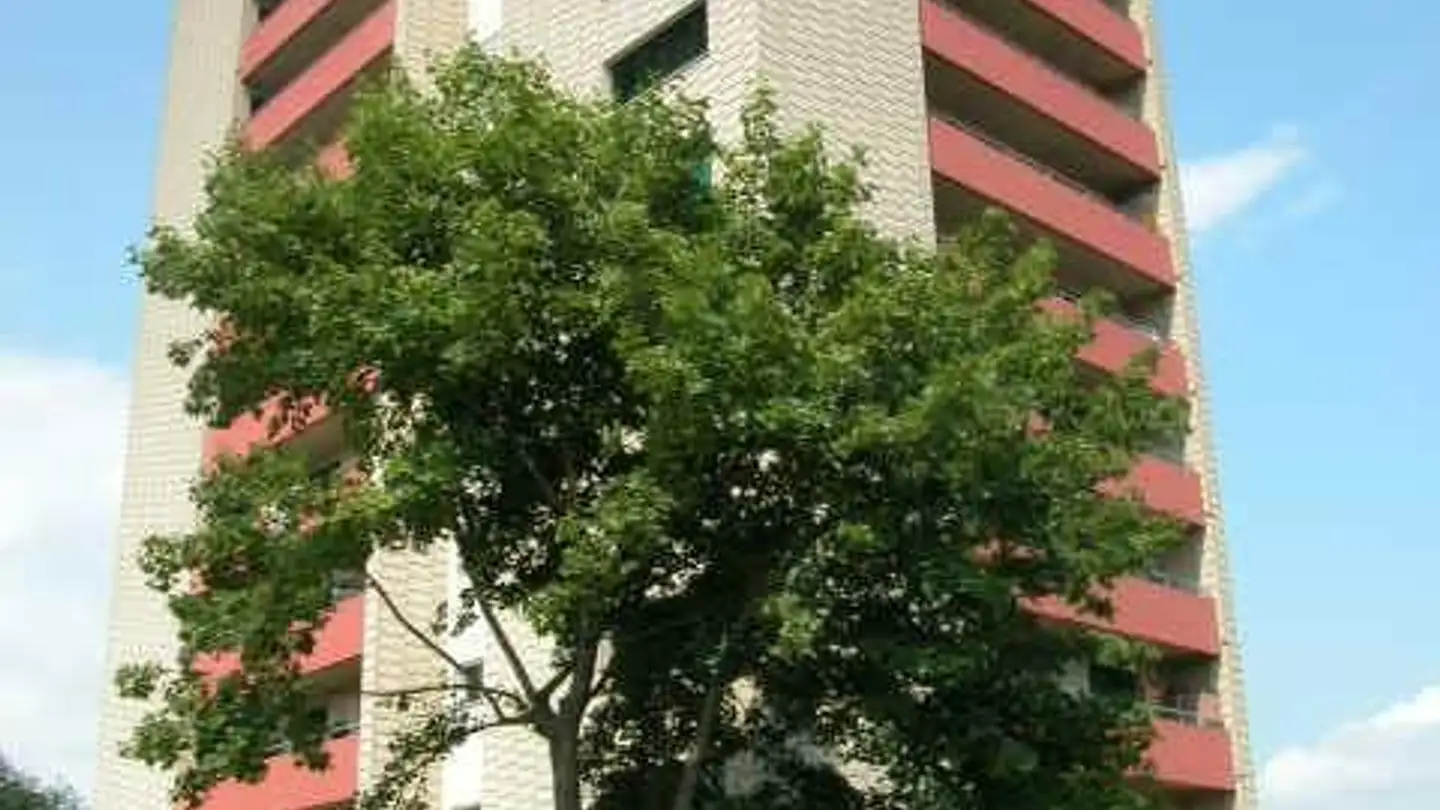 Wohnung mieten - Ringstrasse Nord, 5600 Lenzburg