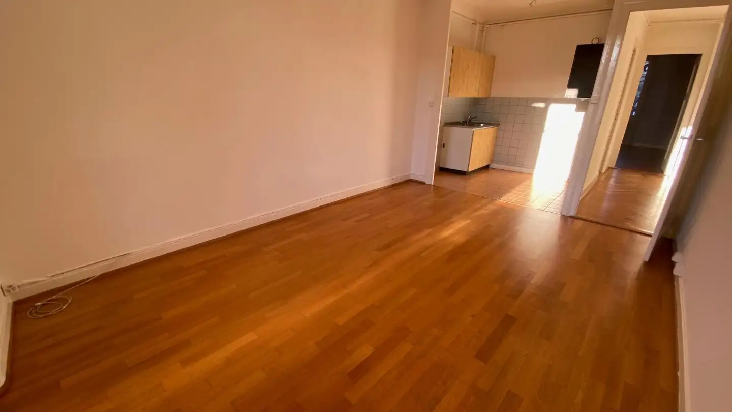 Appartement à louer - Rue Du Vuache 5, 1201 Genève - Photo 4