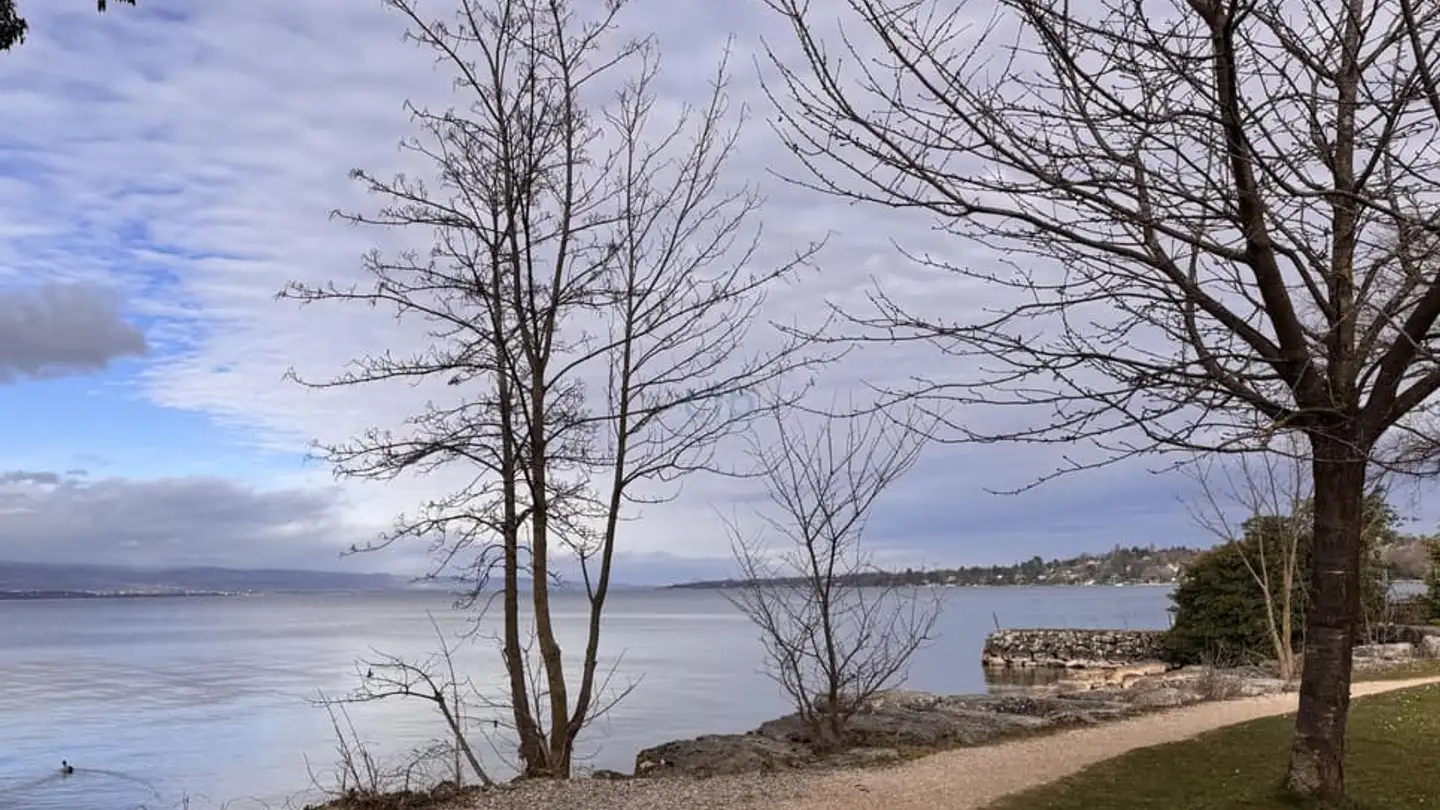 Maison individuelle à vendre - 1245 Collonge-Bellerive