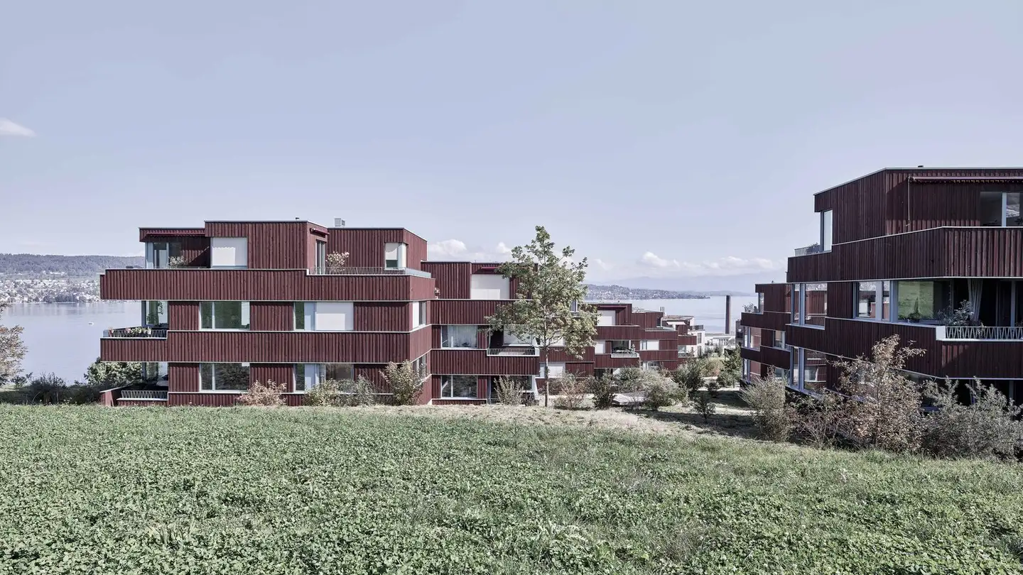 Attique à louer - Tiefenhofstrasse 20e, 8820 Wädenswil