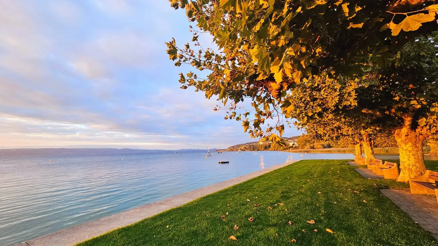 Appartamento in affitto - 1426 Concise