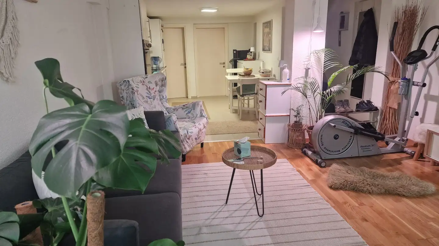 Appartamento in affitto - Alte St. Gallerstrasse 25, 8352 Elsau