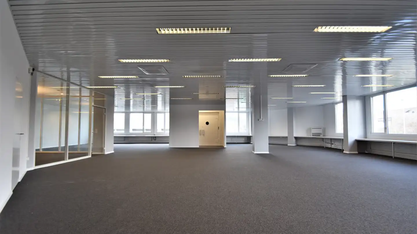 Office space for rent - Steinackerstrasse 35, 8902 Urdorf - Photo 2