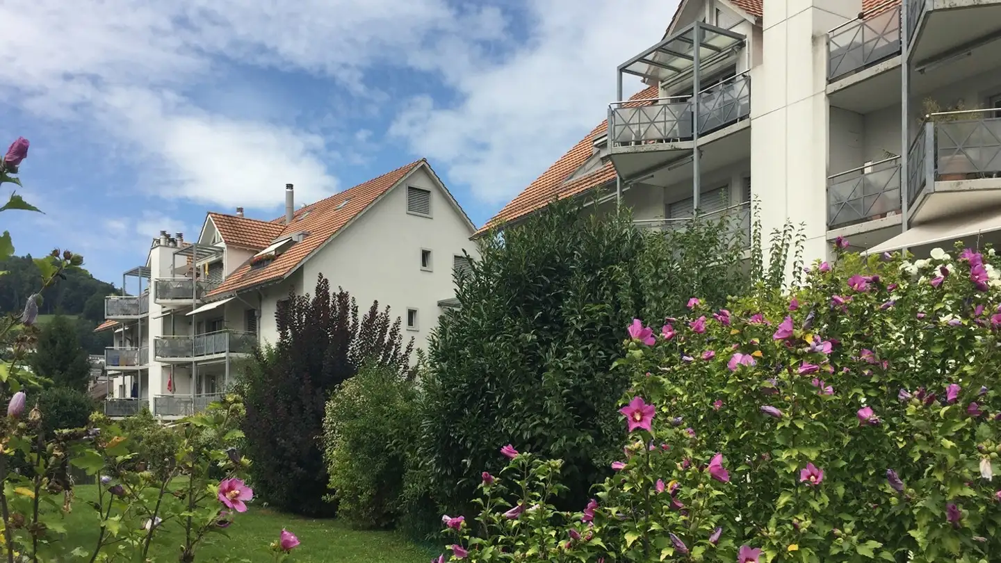 Appartamento in affitto - Zürcherstrasse 38, 8104 Weiningen ZH - Foto 2