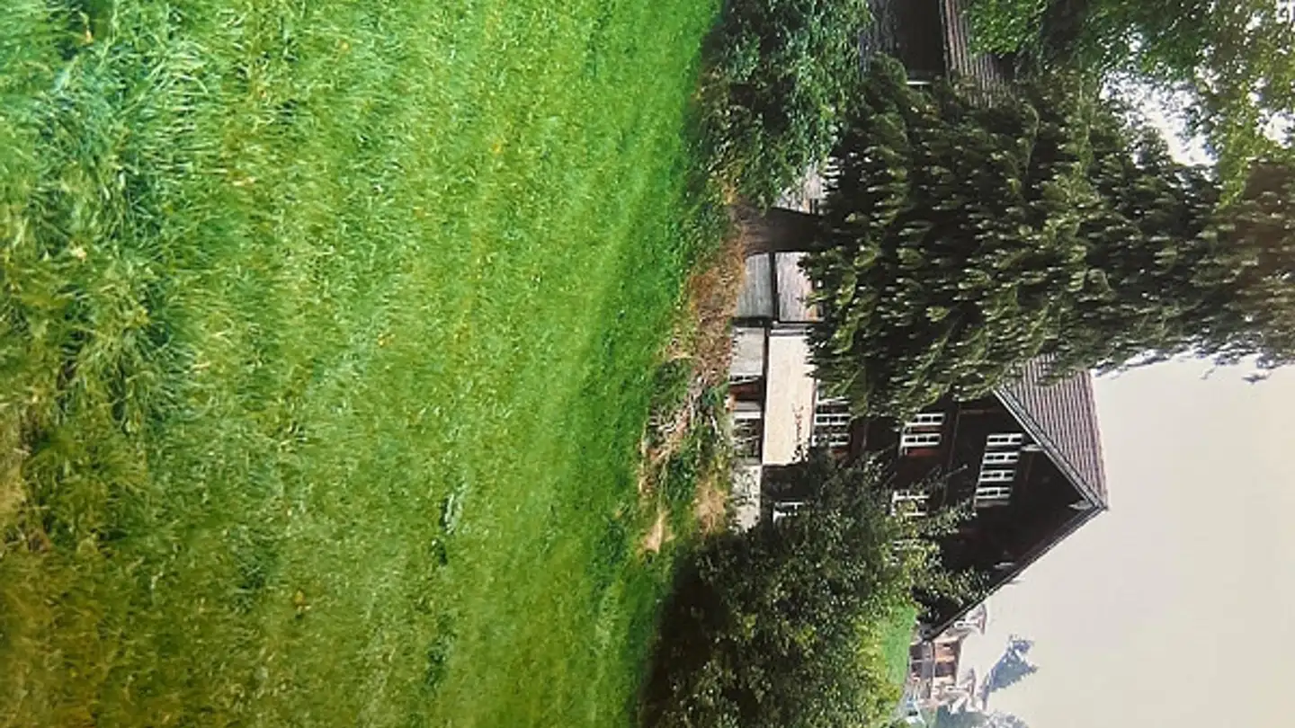 Single house for sale - Dorfhaldenstrasse 13, 9633 Hemberg