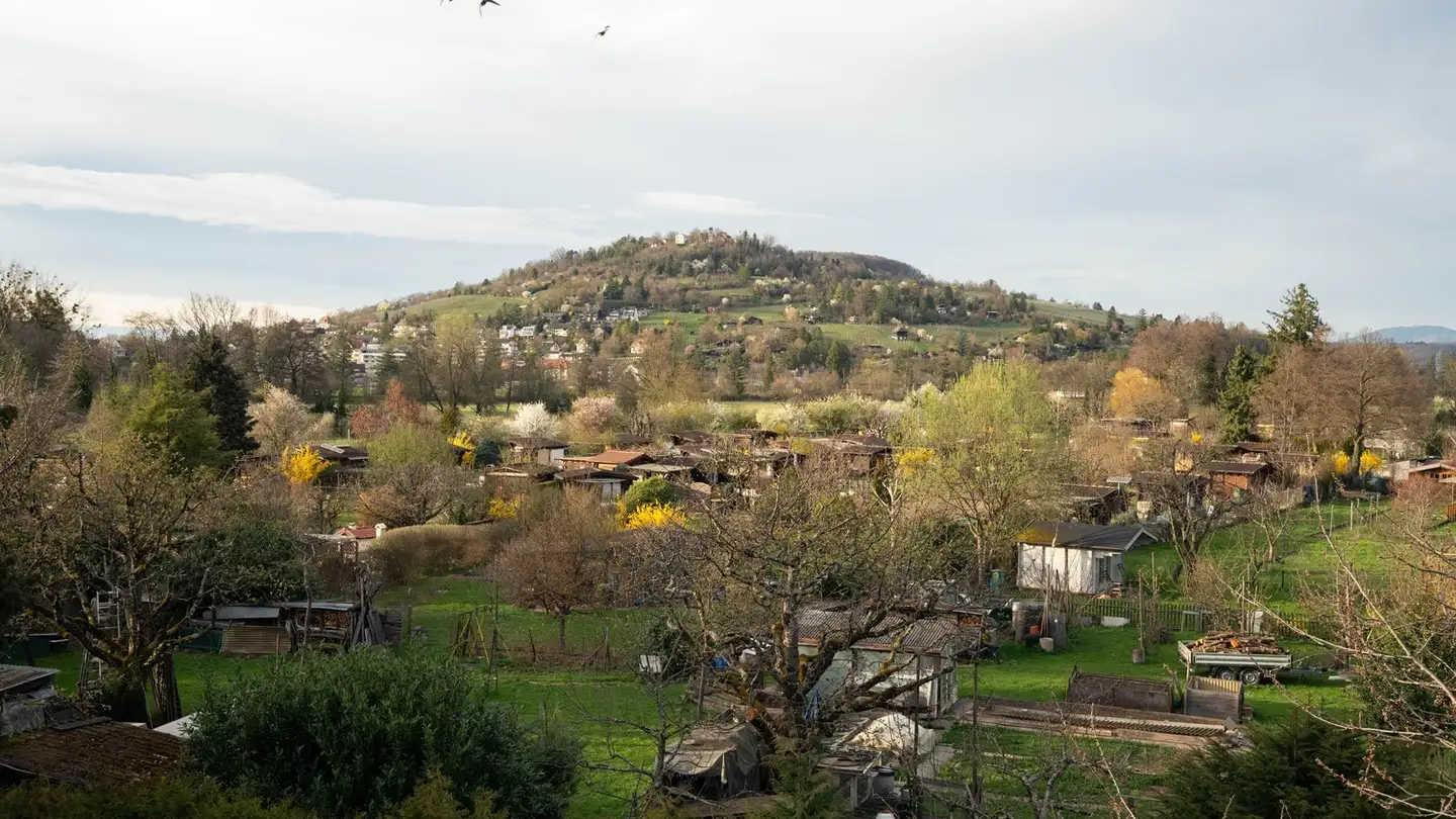 Apartment for rent - Erlensträsschen 62, 4125 Riehen - Photo 3