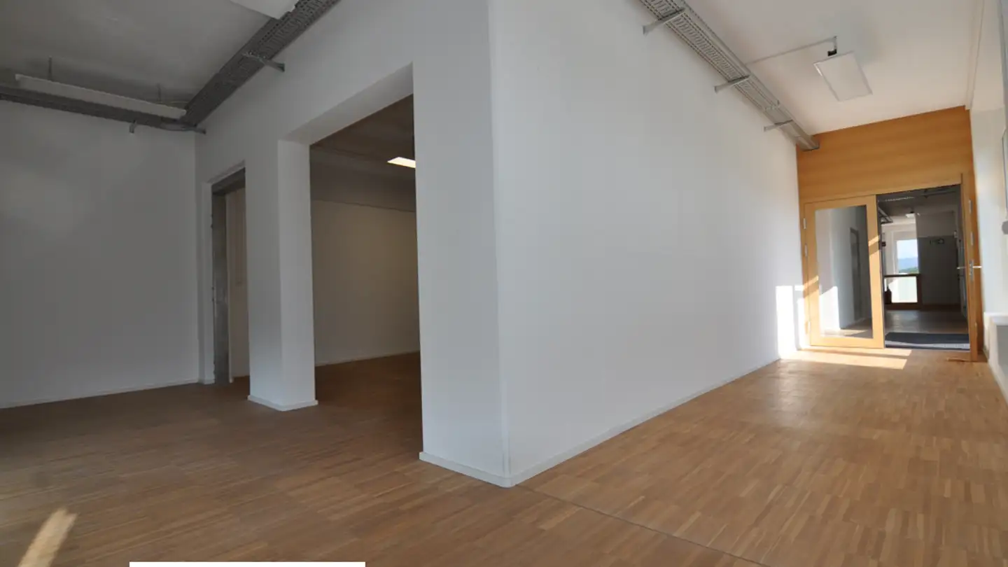 Industrial property for rent - Wölferstrasse 8, 4414 Füllinsdorf