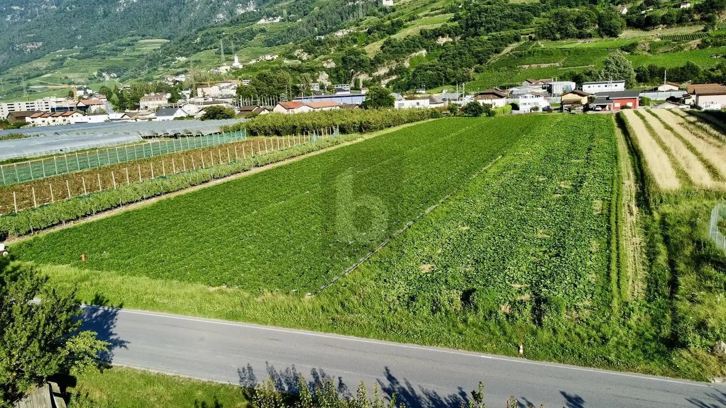 Gewerbebaugrundstück kaufen - 1907 Saxon