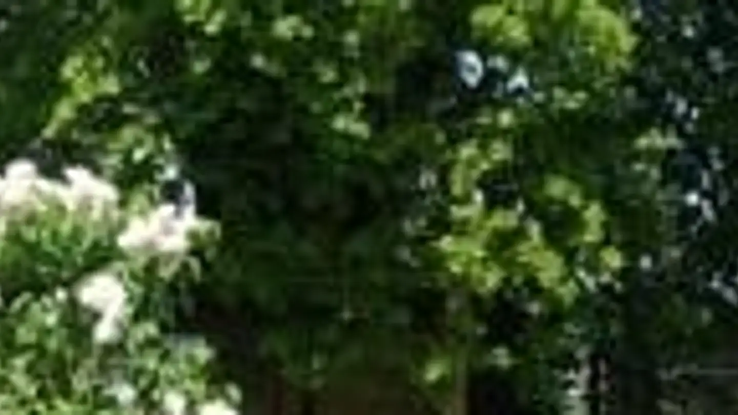 Appartamento in affitto - Matzenriedstrasse 78a, 3019 Bern - Photo 3