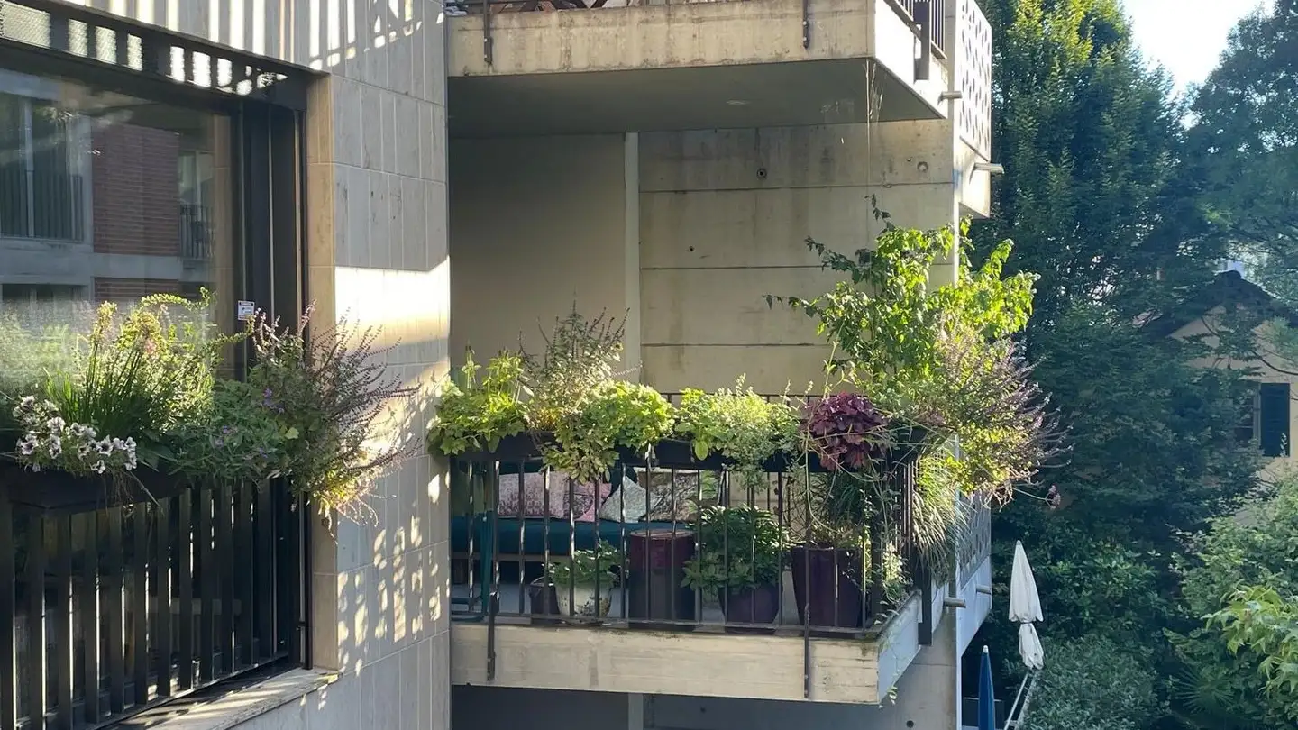 Appartamento in affitto - Wildbachstrasse 44, 8008 Zürich