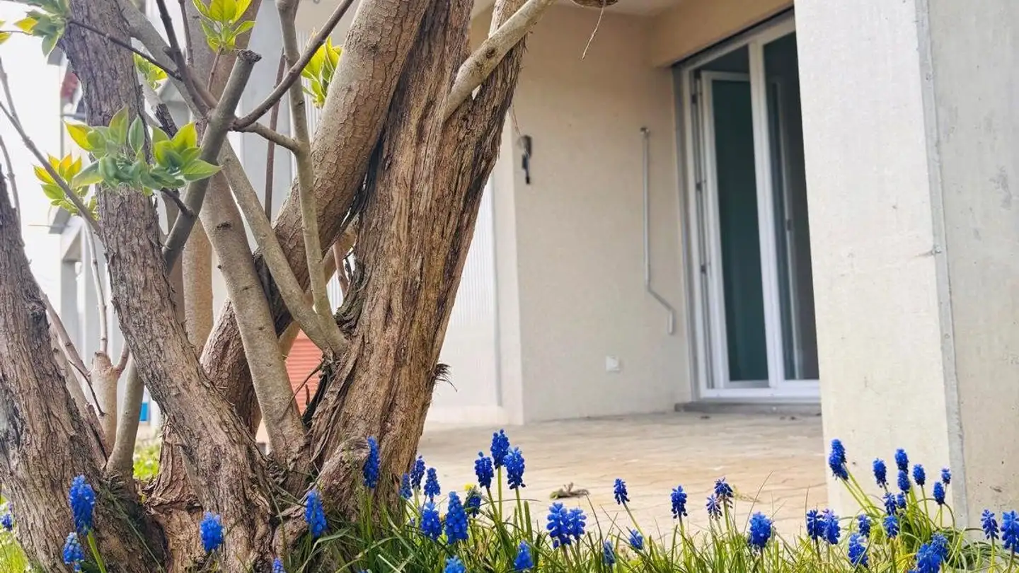 Appartement à louer - Bahnhofplatz 4, 9555 Tobel - Photo 2