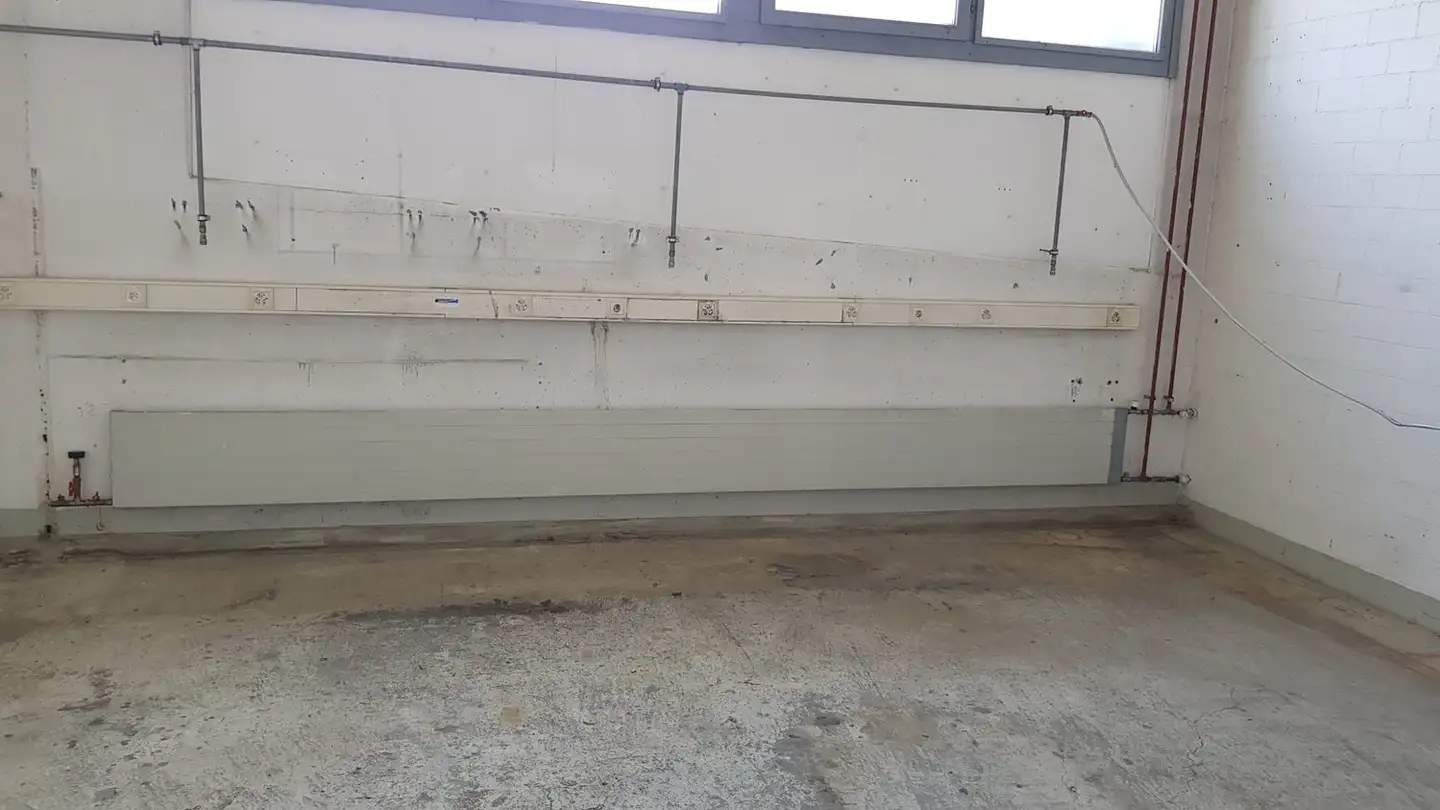 Commerciale in affitto - Lauetstrasse 39, 8112 Otelfingen - Photo 4