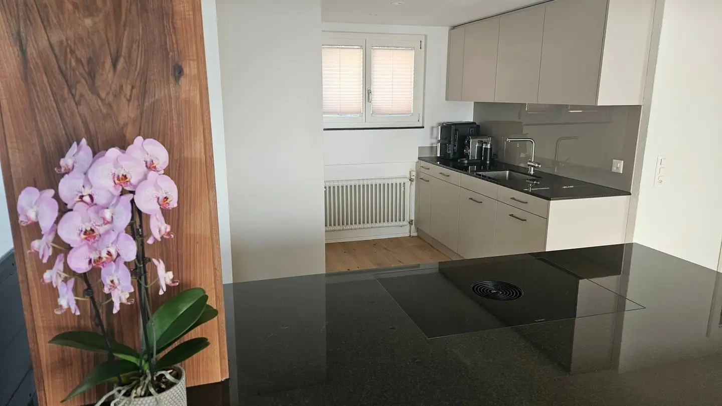 Einfamilienhaus mieten - 6312 Steinhausen - Foto 2