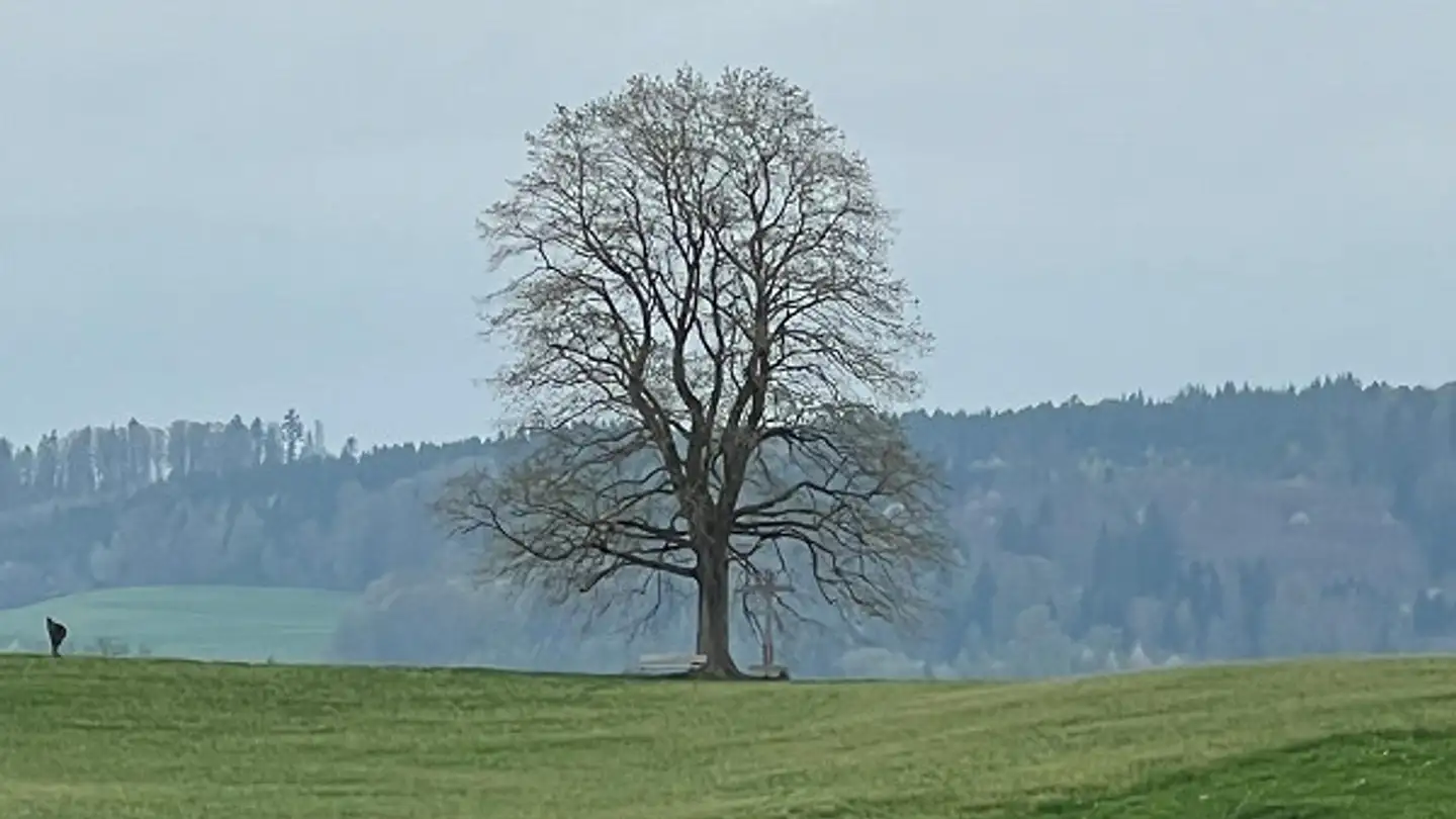 Appartamento in affitto - Bahnhofstrasse 2, 6215 Beromünster