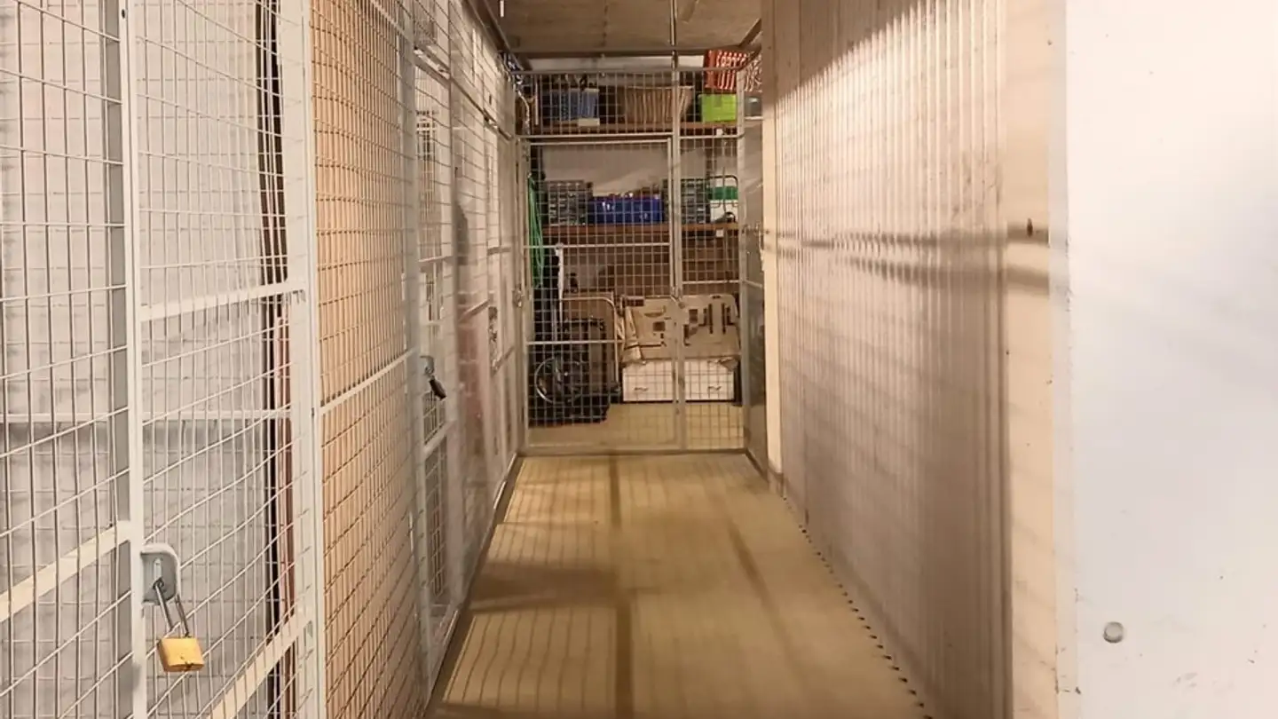 Commercial à louer - Rietweg 25, 8477 Oberstammheim