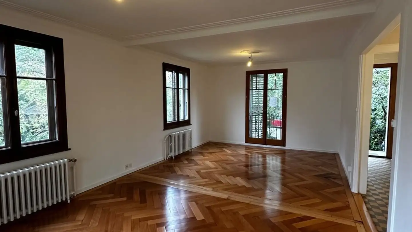 Casa singola in affitto - Chemin Des Maisonnettes, 1213 Petit-Lancy