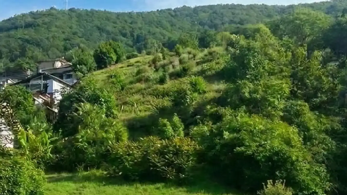 Terrain constructible à vendre - Via Scuole, 6596 Gordola - Photo 3