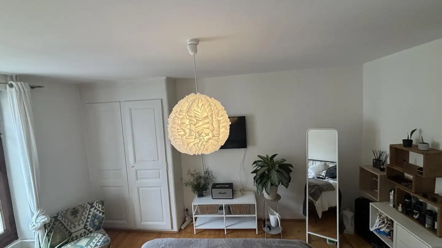 Single room for rent - 1227 Carouge GE - Photo 4