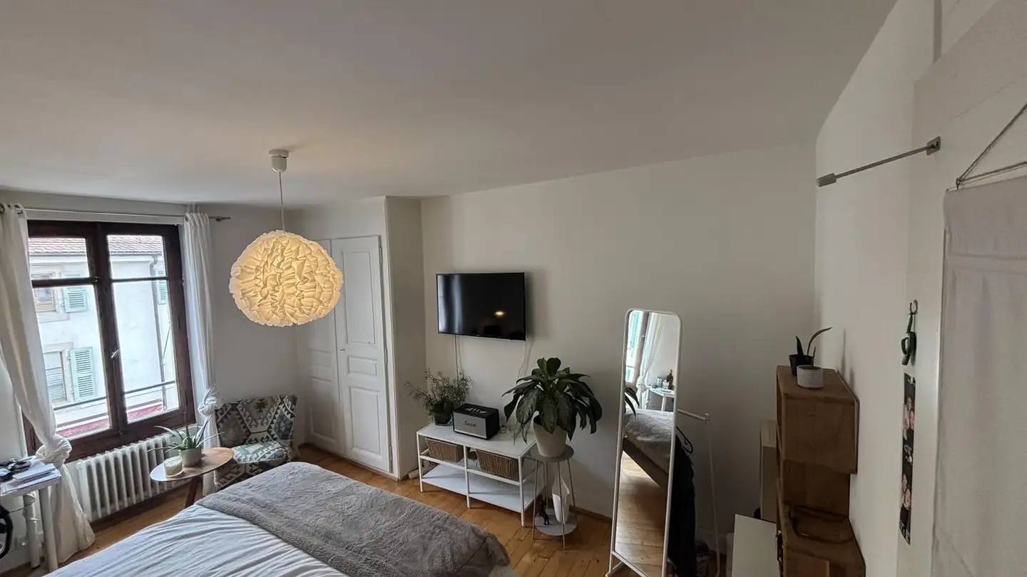 Single room for rent - 1227 Carouge GE - Photo 2