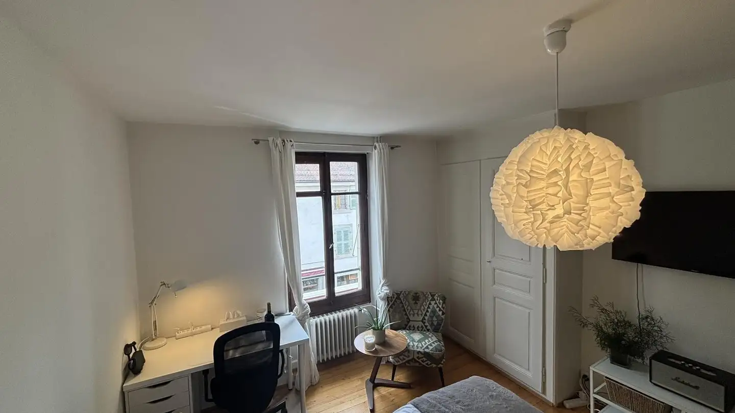 Single room for rent - 1227 Carouge GE - Photo 3