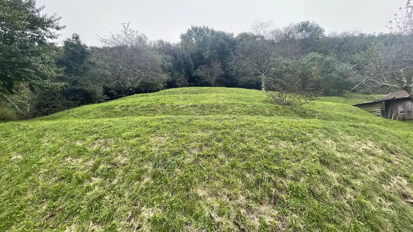 Commercial building plot for sale - 6827 Brusino Arsizio - Photo 3