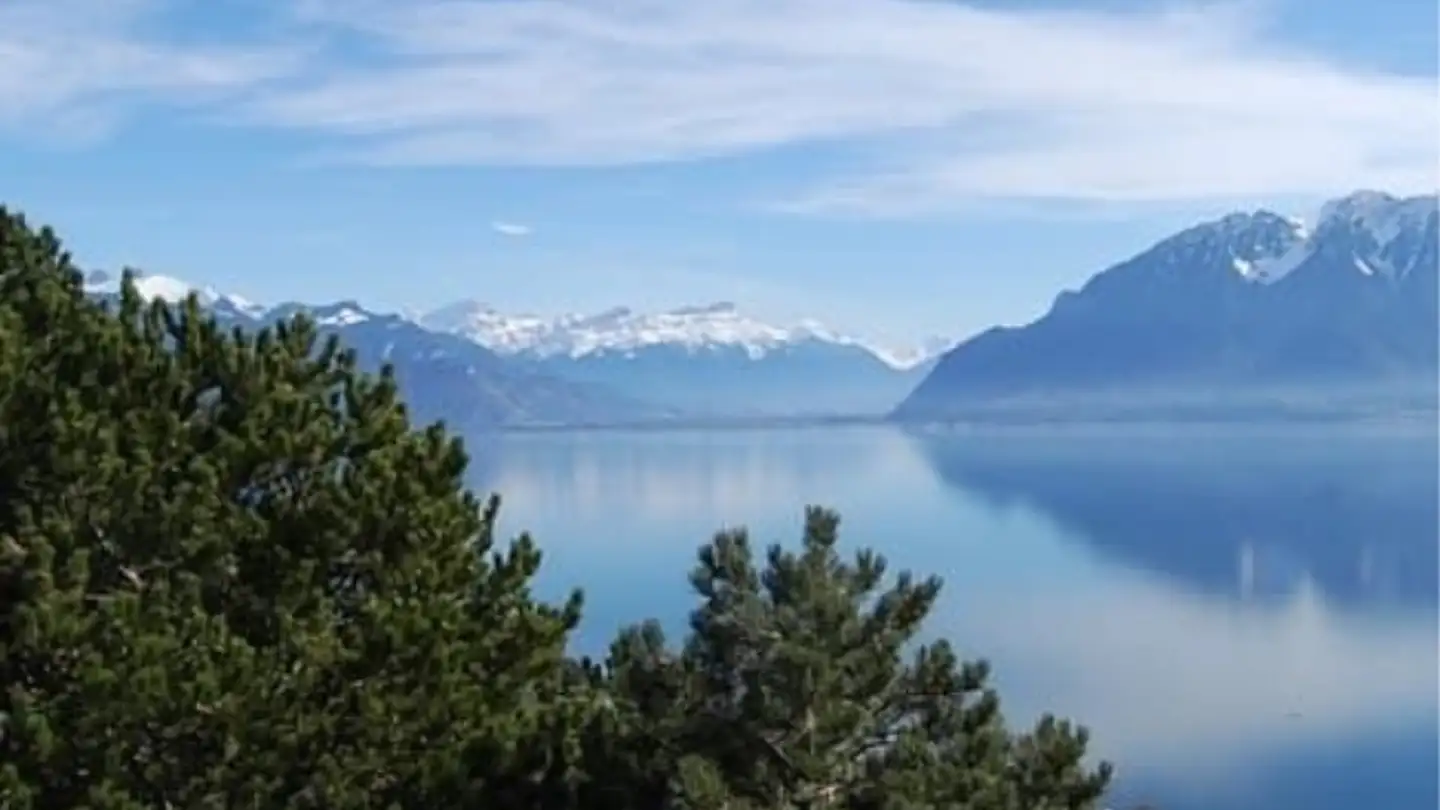 Office space for rent - Chemin Des Condémines 2, 1071 Chexbres