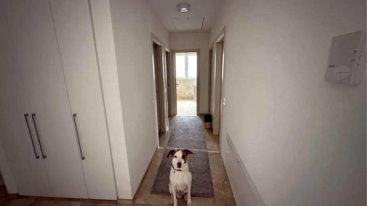 Appartamento in affitto - Via Alla Chiesa 28, 6805 Mezzovico - Foto 3