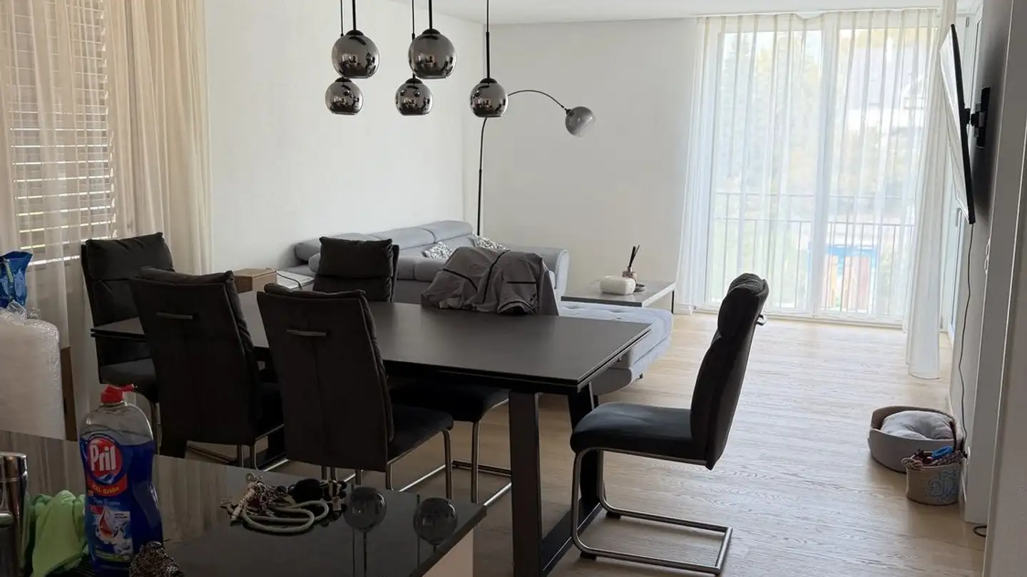 Apartment for rent - Ottenbacherstrasse 2b, 8912 Obfelden - Photo 3