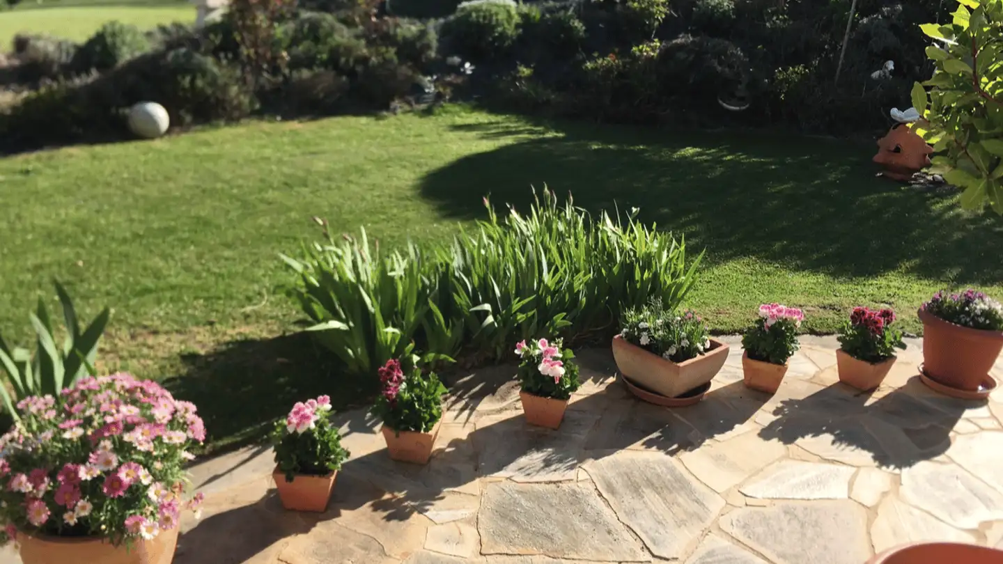 Wohnung mieten - Route De La Boironne, 1169 Yens - Foto 2