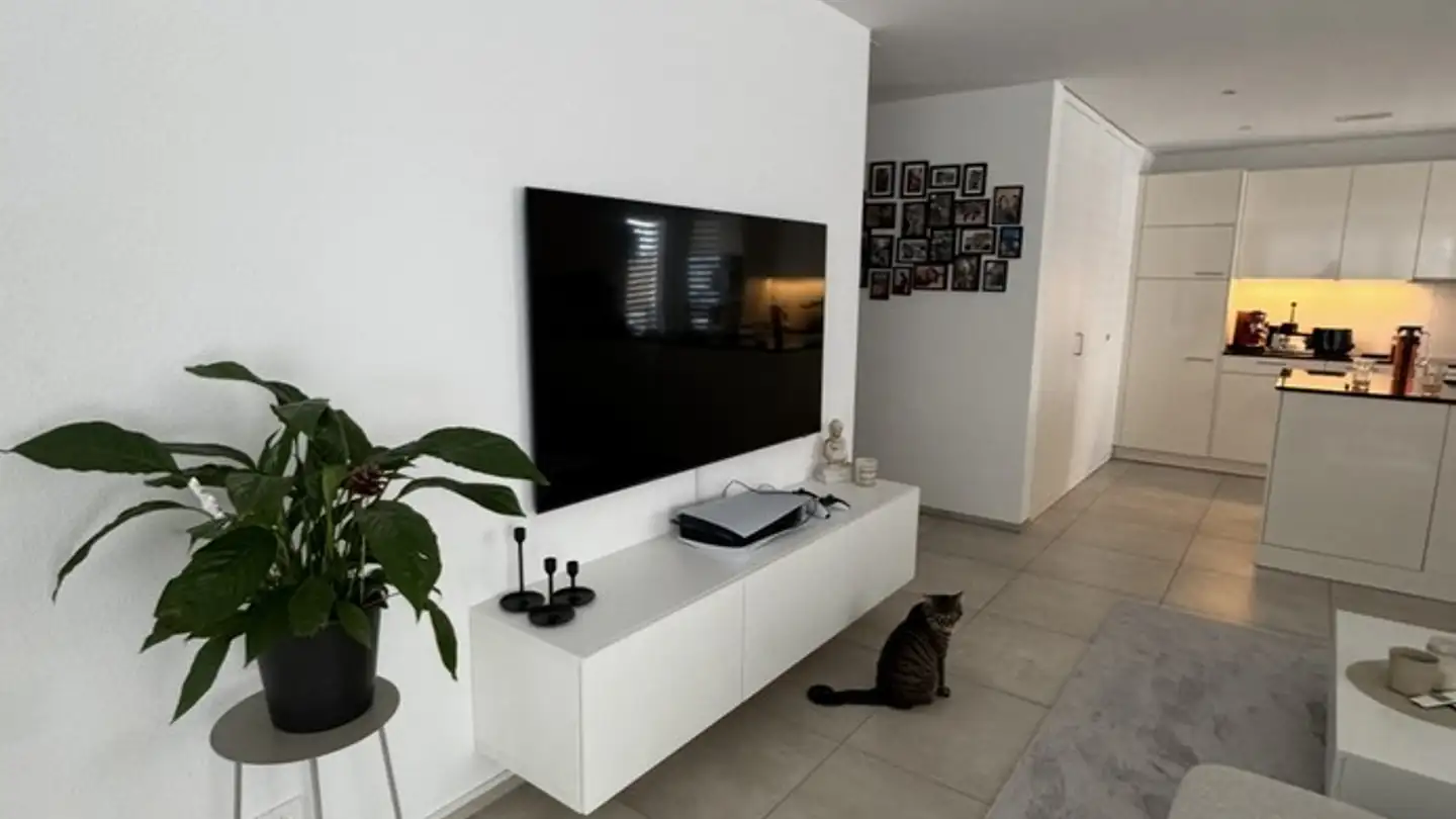 Apartment for rent - Hauptstrasse 59, 8552 Felben-Wellhausen