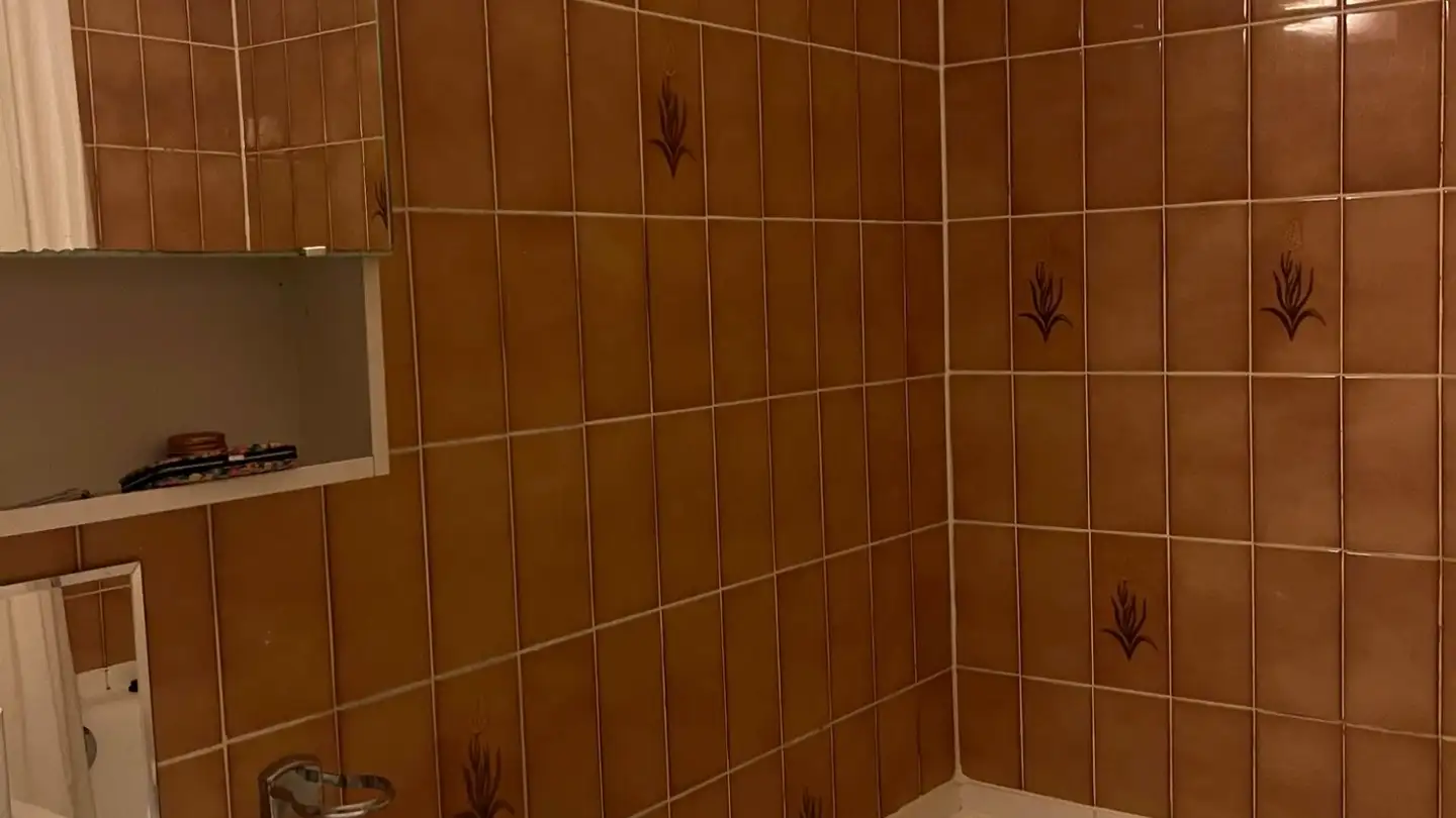 Appartamento in affitto - 1227 Les Acacias - Foto 3