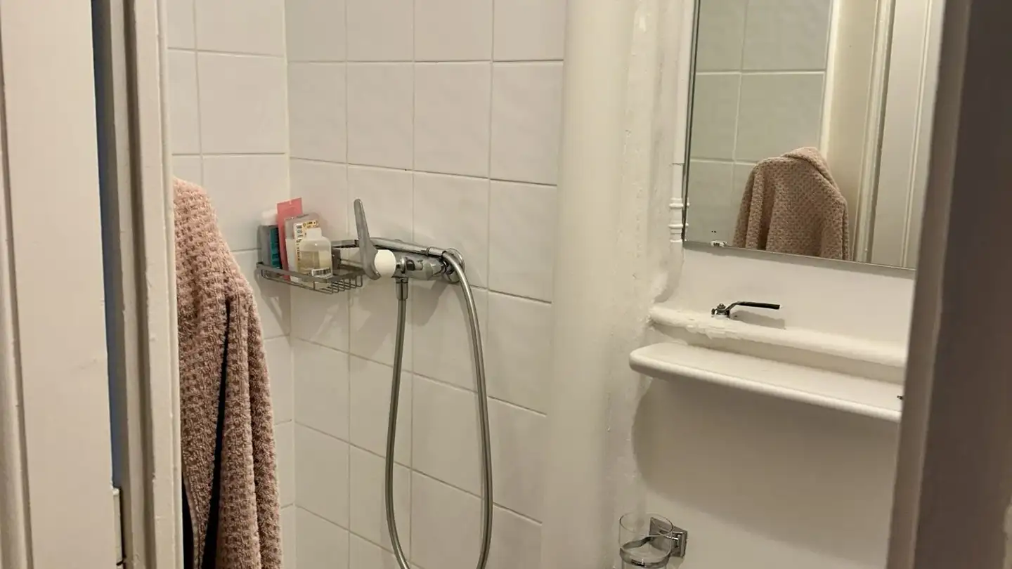 Appartamento in affitto - Avenue Industrielle 18, 1227 Carouge GE - Foto 4