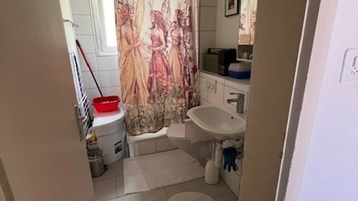 Single room for rent - 3800 Unterseen - Photo 2